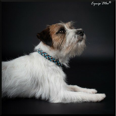 COLLIER CHIEN BIOTHANE®