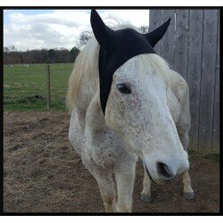 Bonnet anti-moucherons