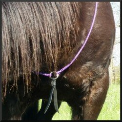 Collier d'encolure