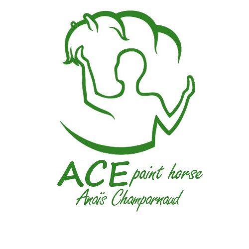 Anais Champarnaud ACE Paint Horse